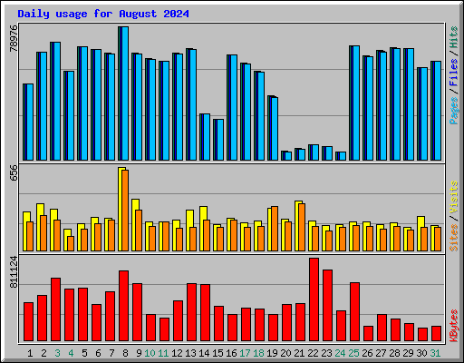 Daily usage for August 2024