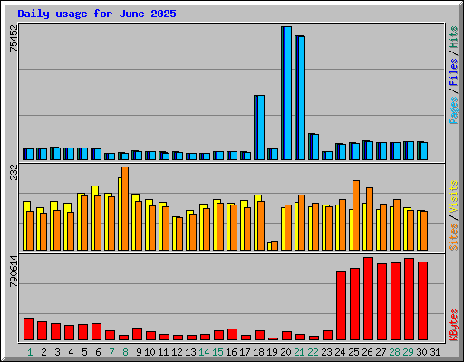 Daily usage for June 2025