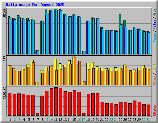 Daily usage for August 2025