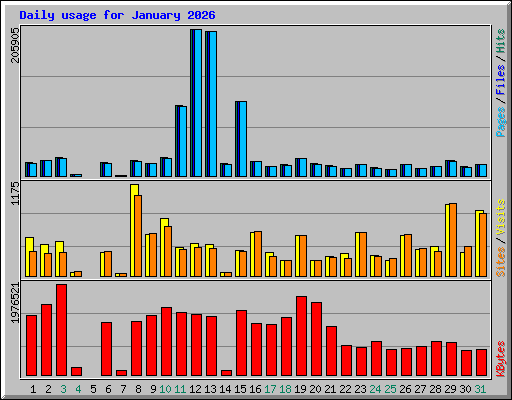 Daily usage for January 2026