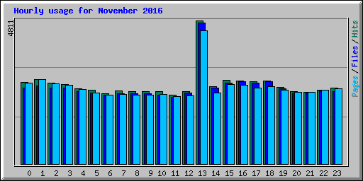 Hourly usage for November 2016