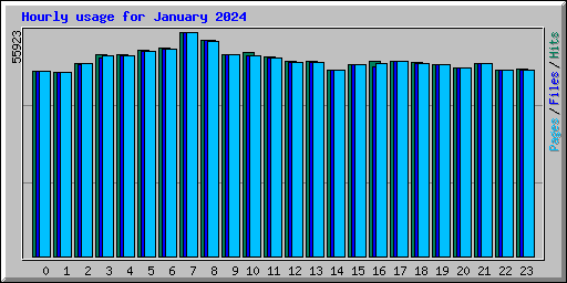 Hourly usage for January 2024