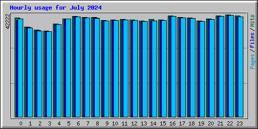 Hourly usage for July 2024