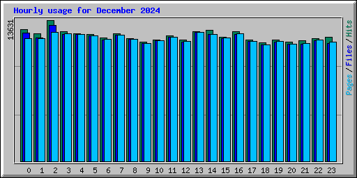 Hourly usage for December 2024