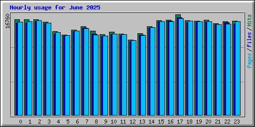 Hourly usage for June 2025