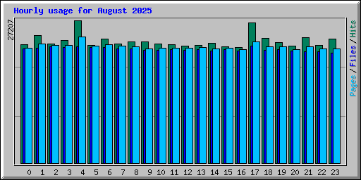 Hourly usage for August 2025