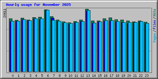 Hourly usage for November 2025