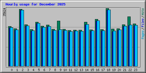 Hourly usage for December 2025