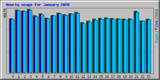 Hourly usage for January 2026