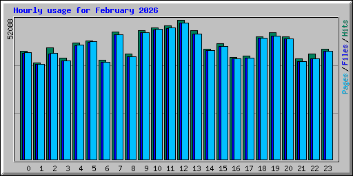 Hourly usage for February 2026